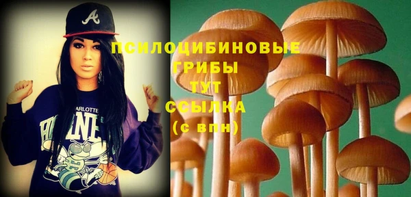 MDMA Верхний Тагил