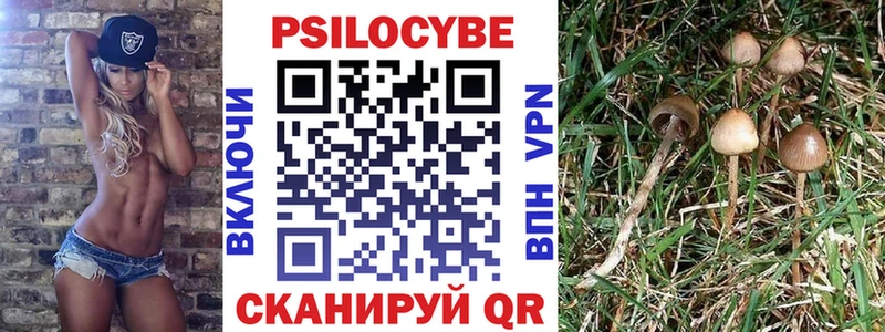 Галлюциногенные грибы мицелий  Купить закладки  Макарьев 